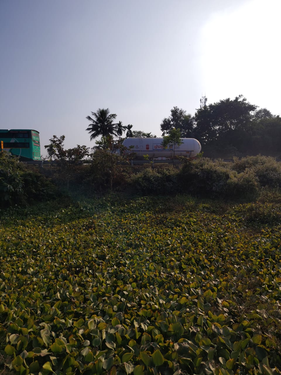 10 Decimal Registered Land for Sale in Alipurduar Beside NH-31 | Prime Dooars Property
